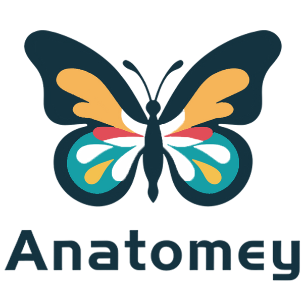 Anatomey